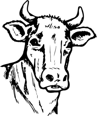 COW006