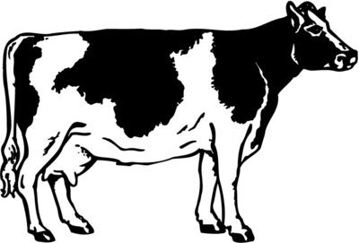 COW024