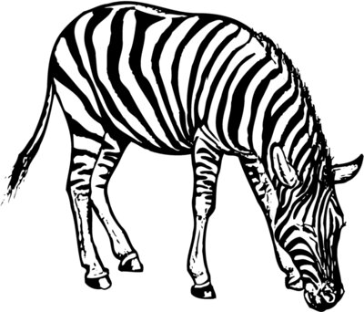 ZEBRA001